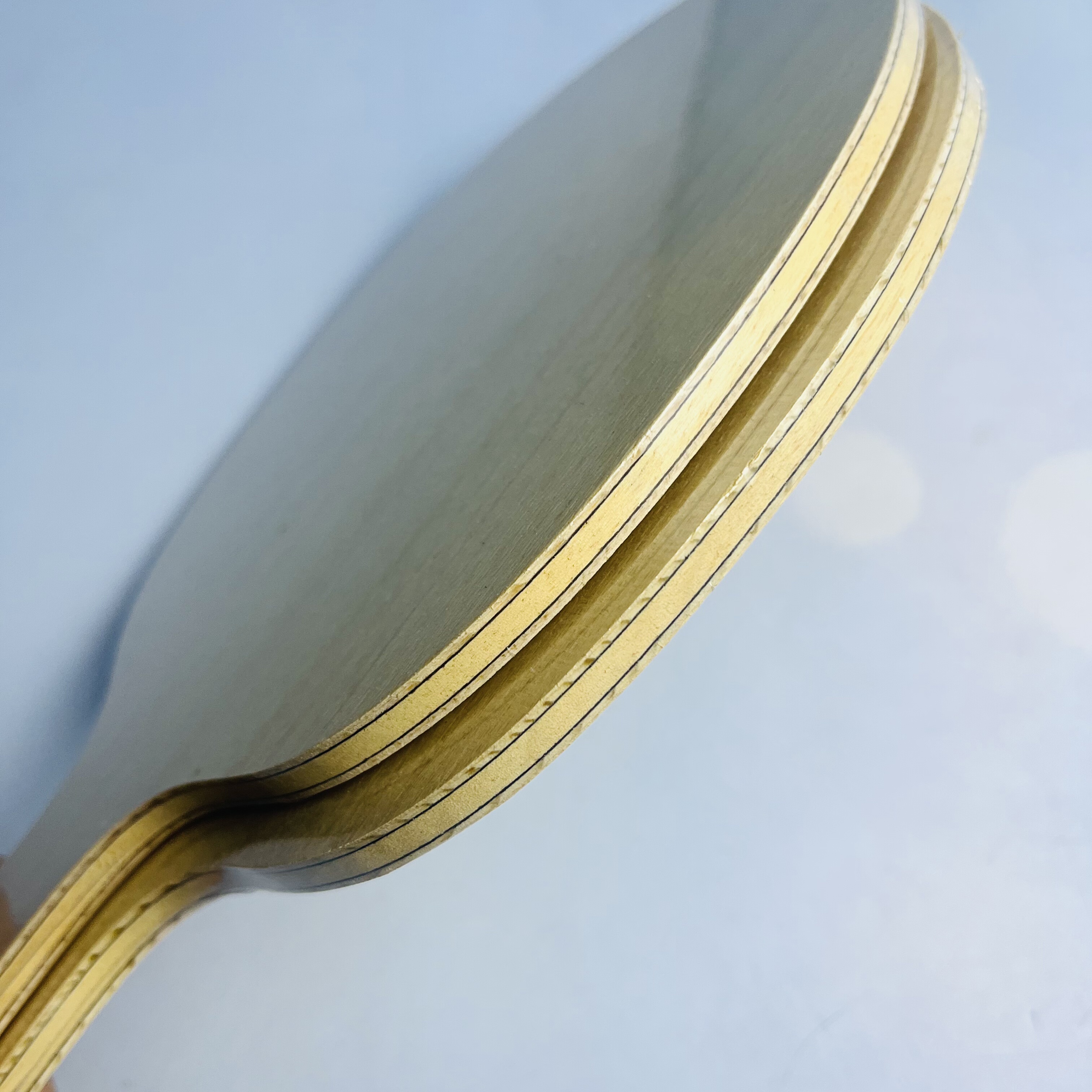 Table Tennis Blade with Limoni - Table Tennis Zhang Jike reseña y precio