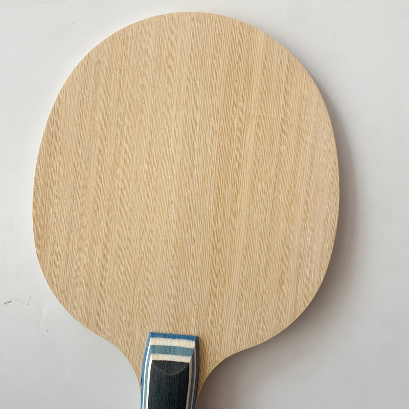 Lemuria VIS Carbon Fiber Table - Table Tennis Zhang Jike reseña y precio