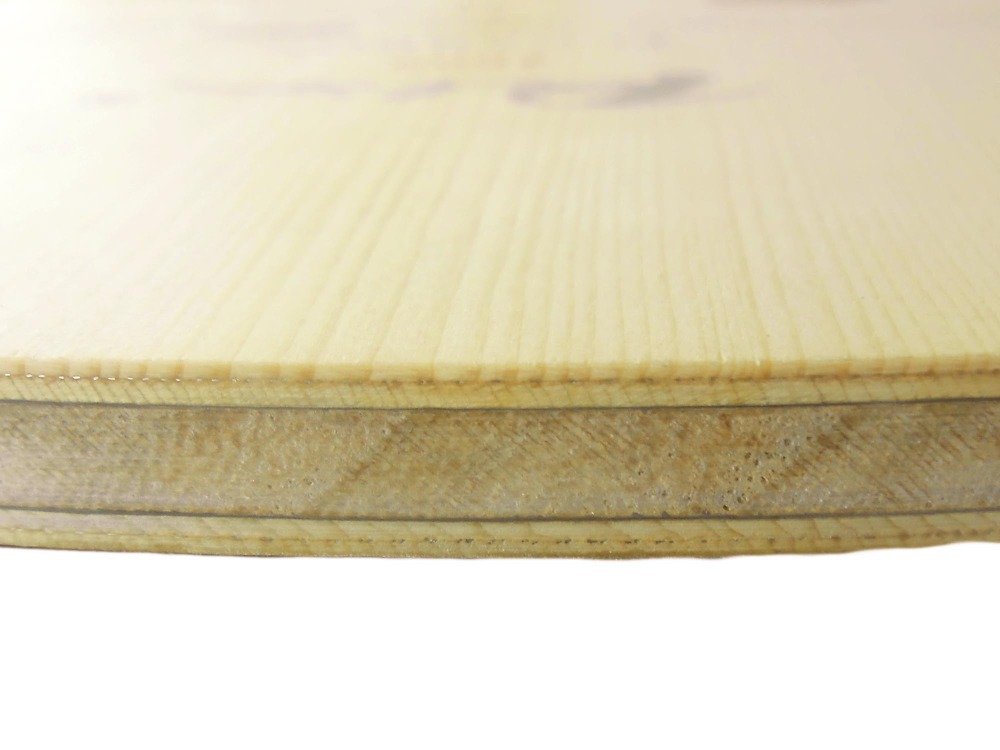 PALIO 8603 Carbon Titanium Tab - Table Tennis Forehand Rubber reseña y precio